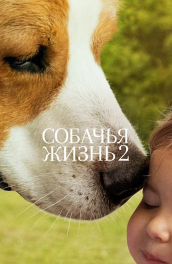 Фильм Собачья жизнь 2 2019 смотреть онлайн с Деннисом Куэйдом и Джошем Гадом
